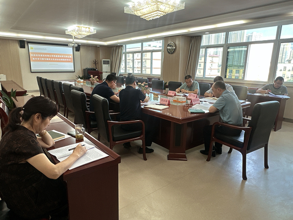 公司召開(kāi)黨委理論學(xué)習(xí)中心組第九次集中學(xué)習(xí)暨專(zhuān)題民主生活會(huì)會(huì)前集體學(xué)習(xí)