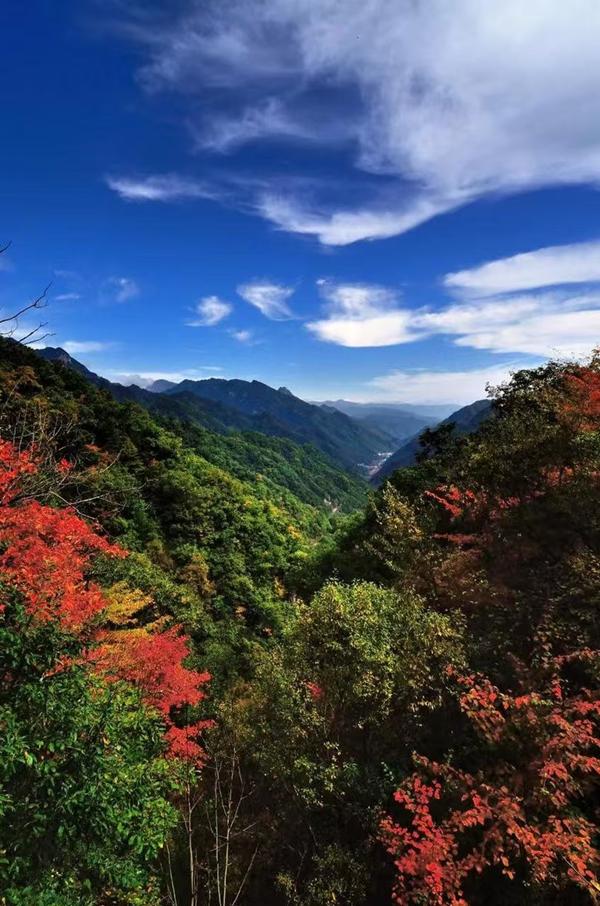 1754615931920769.png 秦嶺關(guān)子溝尾礦庫(kù)閉庫(kù)工程_副本.png